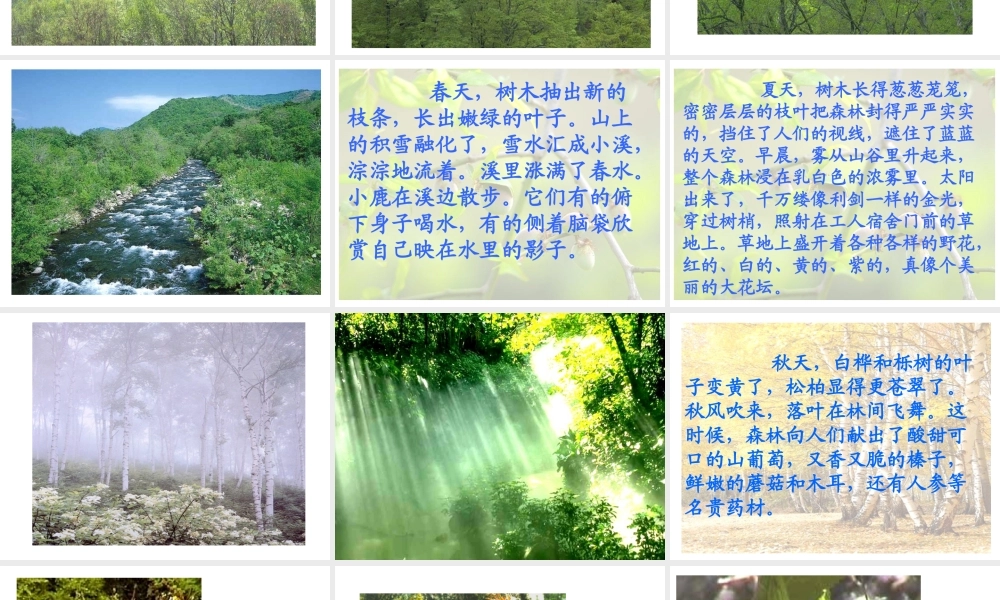 754美丽的小兴安岭