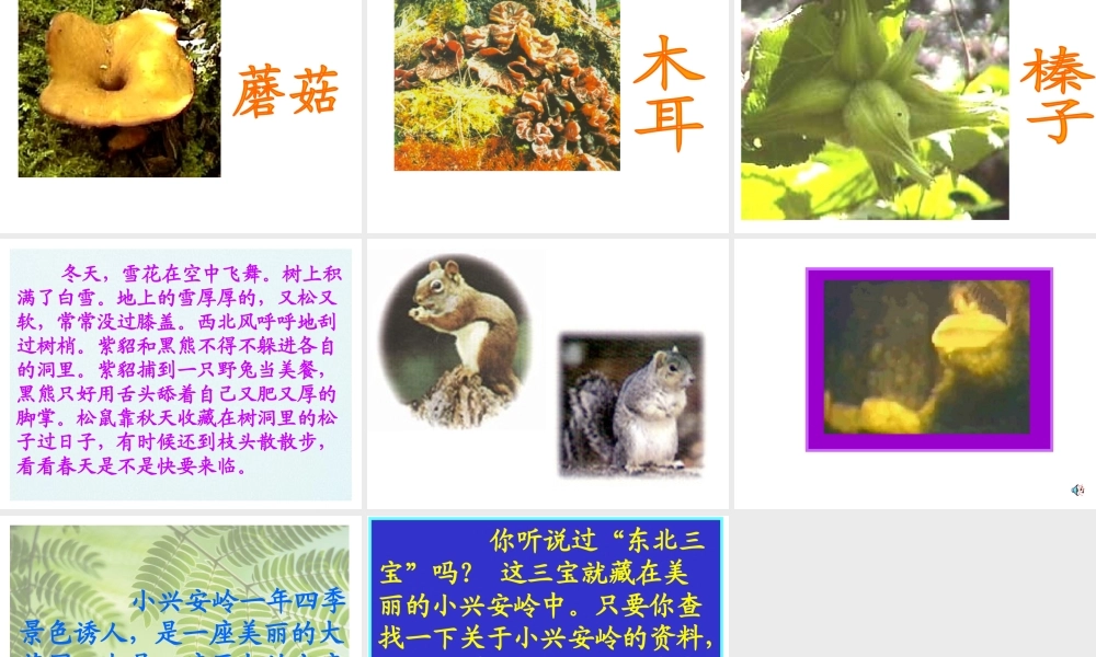 754美丽的小兴安岭