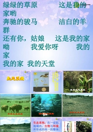 中学七年级生物上册 1.2.4 生态系统课件4 新人教版 课件