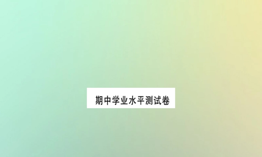 中学业水平测试习题课件 (新版)新人教版 课件