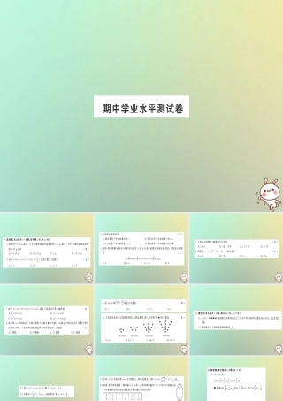 中学业水平测试习题课件 (新版)新人教版 课件