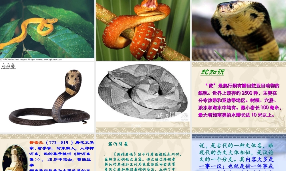 初中三年级语文上册第五单元(学会读书五：借助注释学文言)19、捕蛇者说(柳宗元)课件