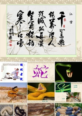 初中三年级语文上册第五单元(学会读书五：借助注释学文言)19、捕蛇者说(柳宗元)课件
