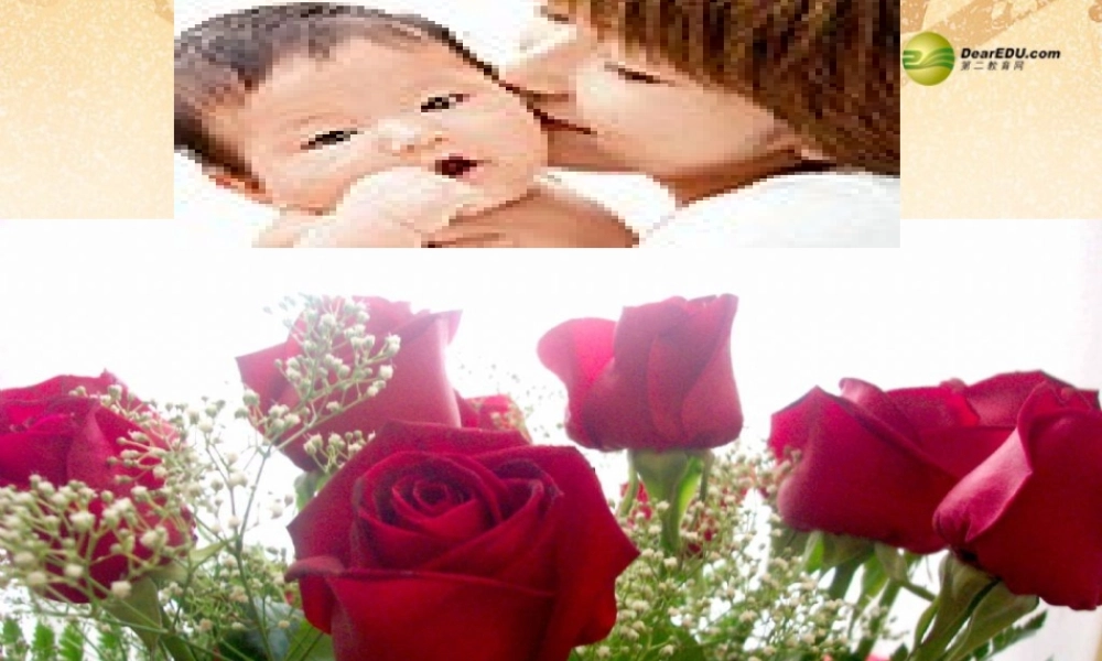 八年级政治下册 第三课第二框 同样的权利 同样的爱护课件 新人教版 课件