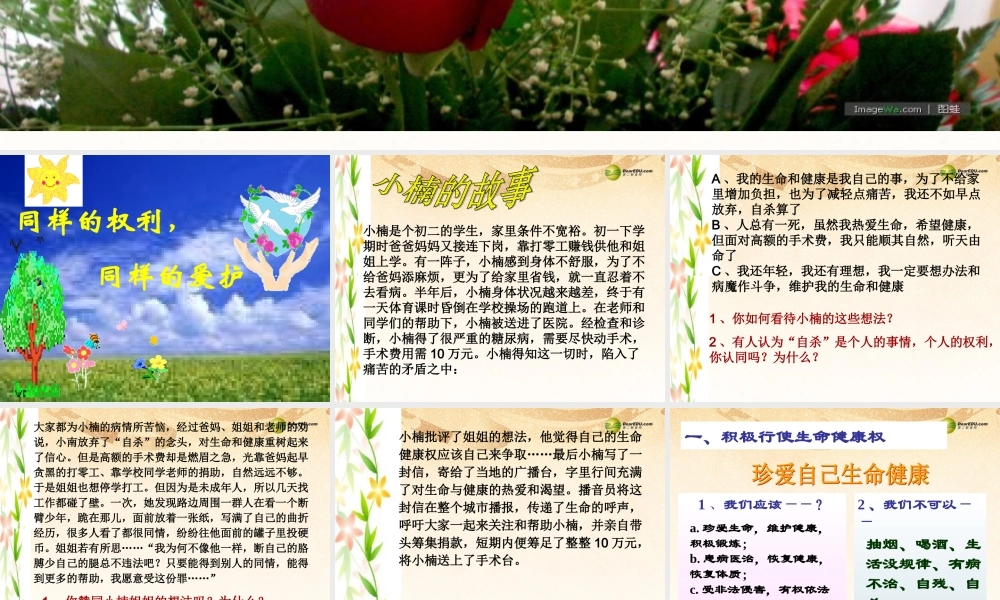 八年级政治下册 第三课第二框 同样的权利 同样的爱护课件 新人教版 课件