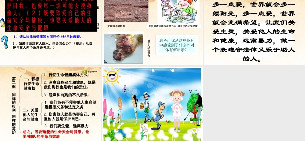 八年级政治下册 第三课第二框 同样的权利 同样的爱护课件 新人教版 课件