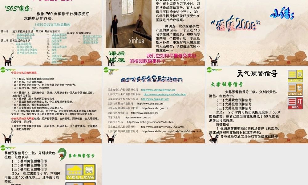 八年级政治上册 (社会公共生活的安全保障)课件 沪教版 课件