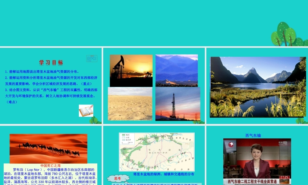 八年级地理下册 第八章 第二节 干旱的宝地 塔里木盆地(二 油气资源的开发)课件 八年级地理下册 第八章 第二节 干旱的宝地 塔里木盆地课件+素材(新版)新人教版 八年级地理下册 第八章 第二节 干旱的宝地 塔里木盆地课件+素材(新版)新人教版