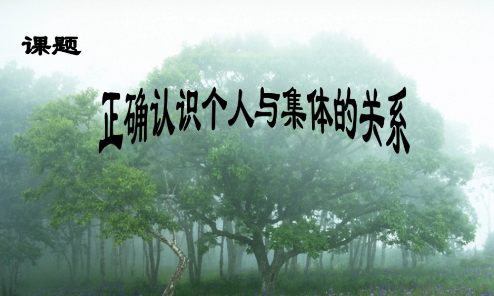 八年级政治下册 正确认识个人与集体的关系课件 鲁教版 课件