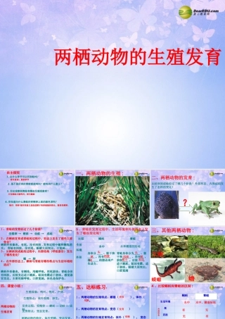 八年级生物上册 两栖动物的生殖和发育课件1 济南版 课件