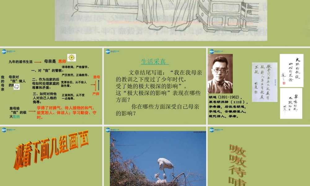 八年级语文下册 2(我的母亲)课件 新人教版 课件