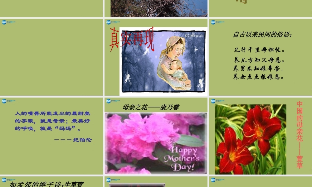 八年级语文下册 2(我的母亲)课件 新人教版 课件