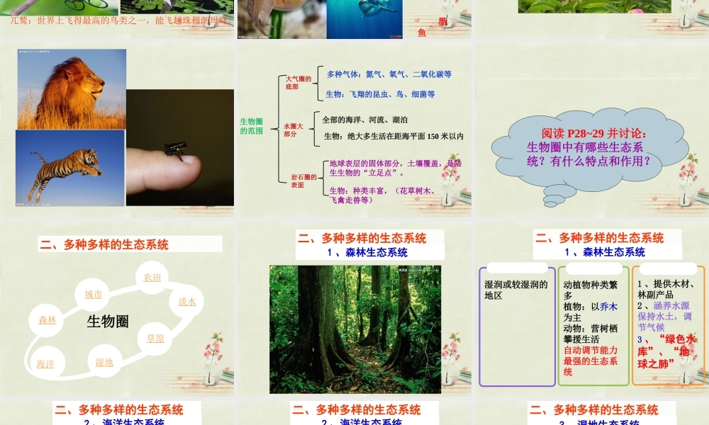 中学七年级生物上册 1.2.3 生物圈是最大的生态系统课件 (新版)新人教版 课件