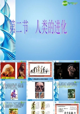 八年级生物下册 第五单元第二章第二节人类的进化课件 济南版 课件
