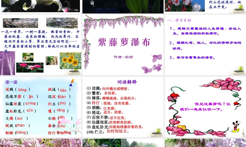 八年级语文下册 课堂教学资料第5课(紫藤萝瀑布)课件 苏教版 课件