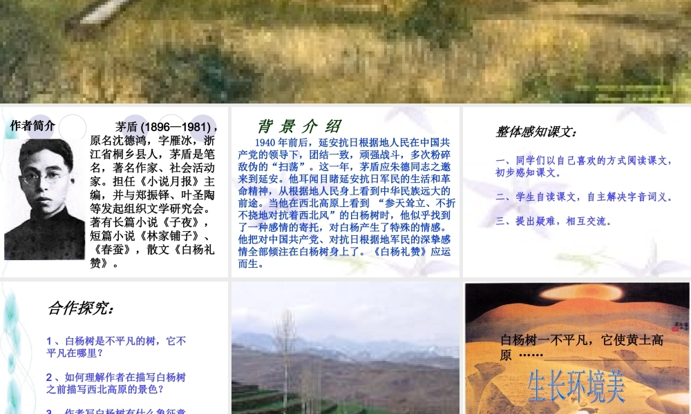 九年级语文上：第1课(白杨礼赞)课件(语文版) 课件