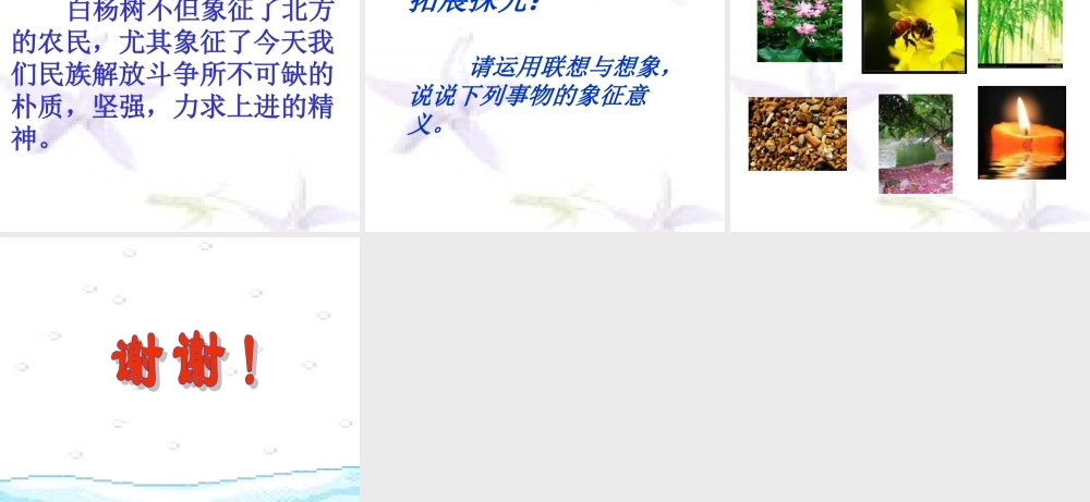 九年级语文上：第1课(白杨礼赞)课件(语文版) 课件