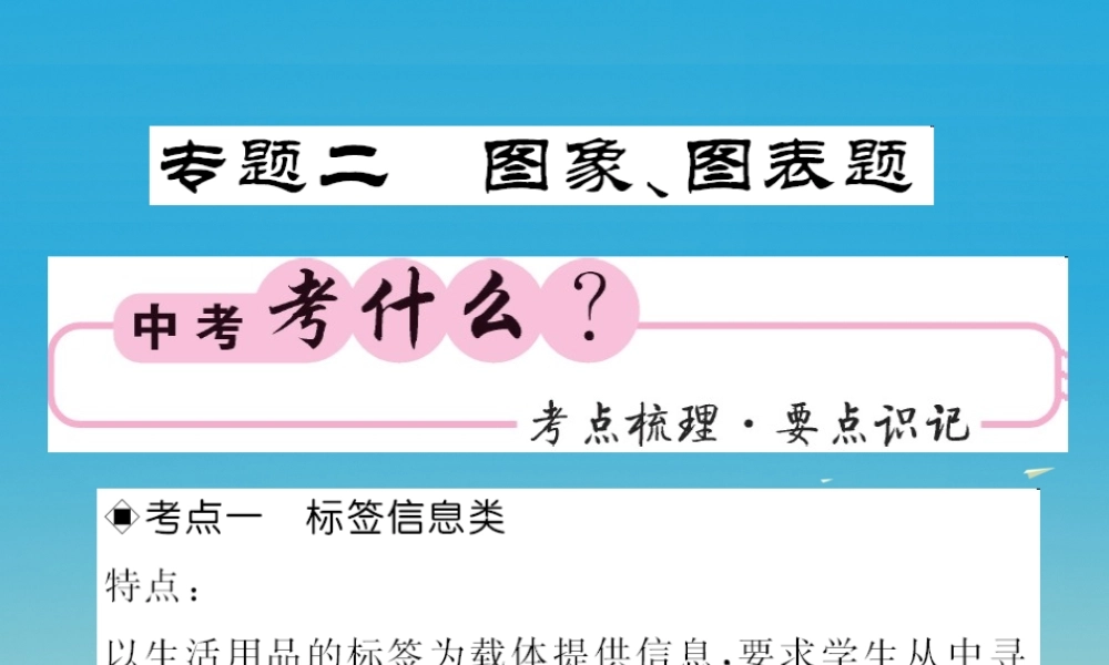 春中考化学总复习 第二轮复习 专题训练 提升能力 专题二 图象、图表题教学课件 新人教版 课件