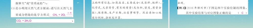 春中考化学总复习 第二轮复习 专题训练 提升能力 专题二 图象、图表题教学课件 新人教版 课件