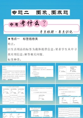 春中考化学总复习 第二轮复习 专题训练 提升能力 专题二 图象、图表题教学课件 新人教版 课件