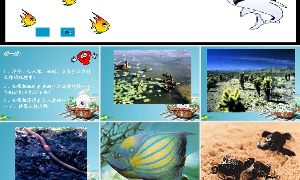 七年级生物上册 生物与环境的关系课件 苏教版 课件