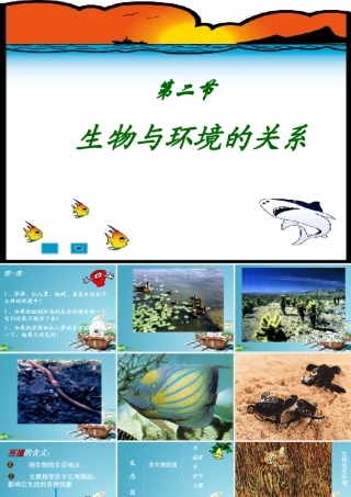 七年级生物上册 生物与环境的关系课件 苏教版 课件