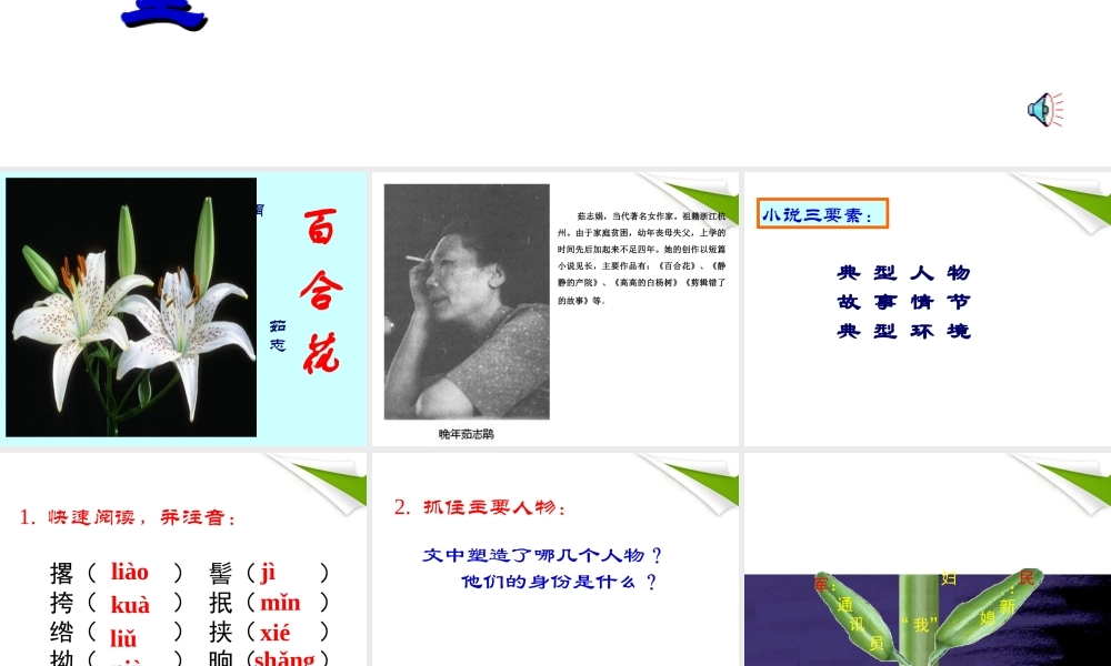 九年级语文下册 第15课(百合花)课件 语文版 课件