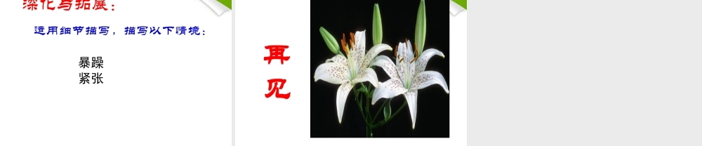 九年级语文下册 第15课(百合花)课件 语文版 课件