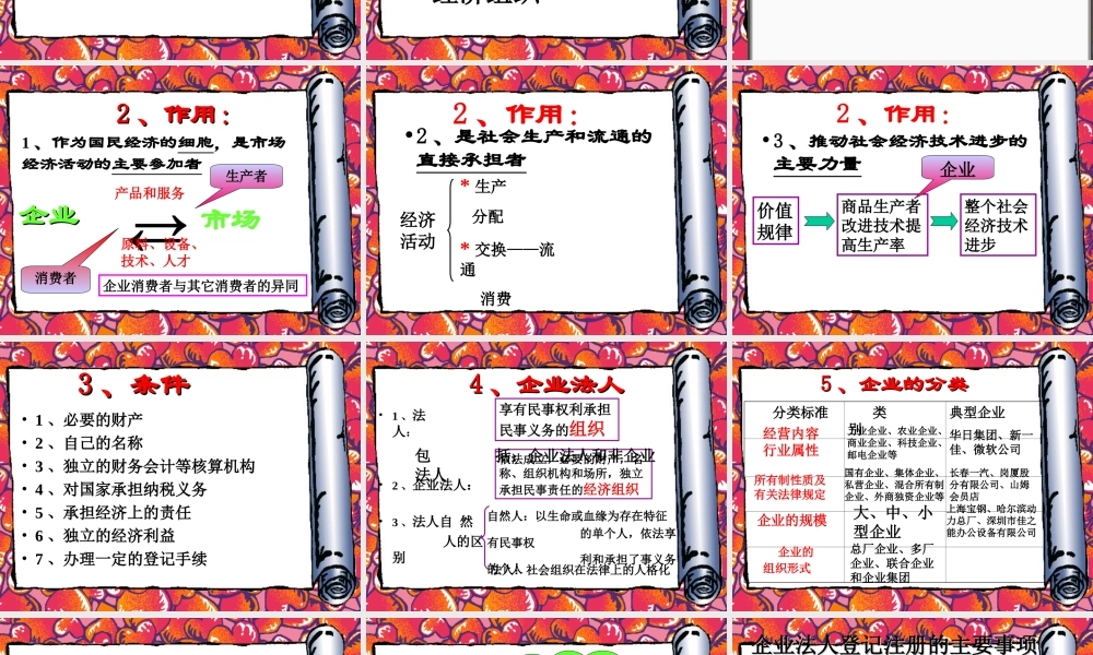 企业及其分类