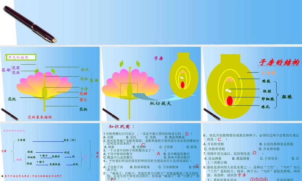 七年级生物上册 第5章绿色植物的一生复习课件 苏教版 课件