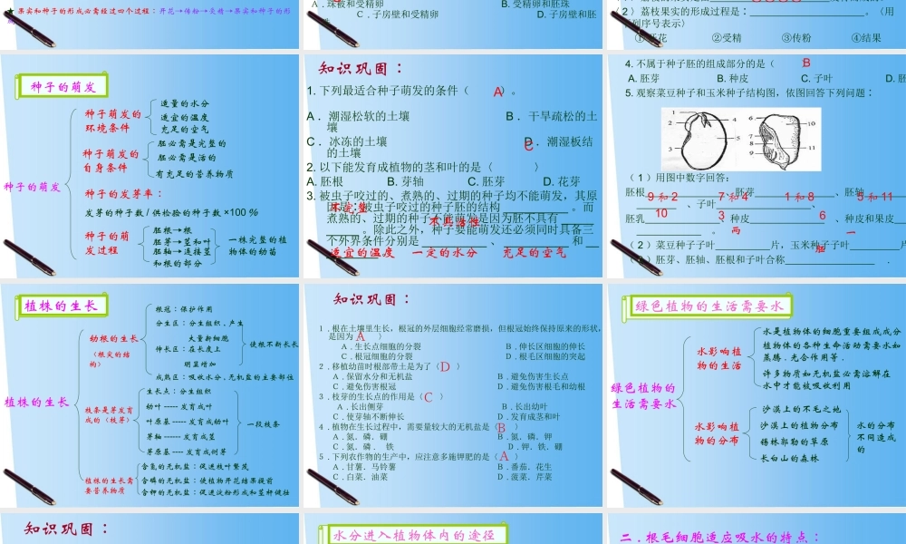 七年级生物上册 第5章绿色植物的一生复习课件 苏教版 课件