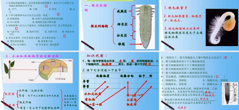 七年级生物上册 第5章绿色植物的一生复习课件 苏教版 课件