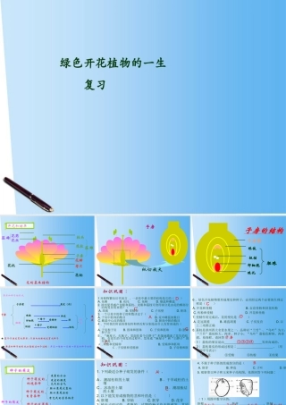 七年级生物上册 第5章绿色植物的一生复习课件 苏教版 课件