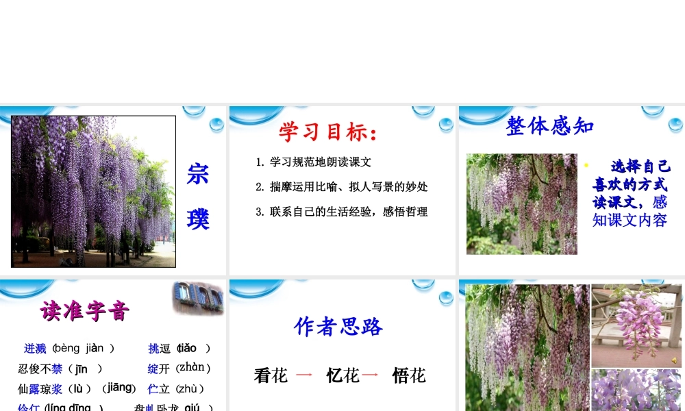 七年级语文上册(紫藤萝瀑布)课件 人教新课标版 课件