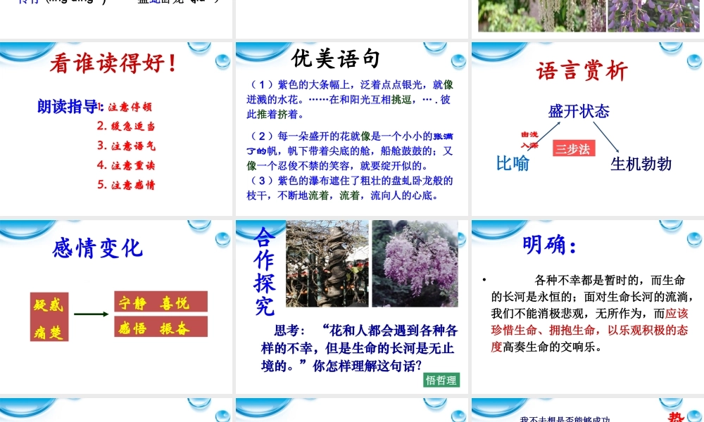 七年级语文上册(紫藤萝瀑布)课件 人教新课标版 课件