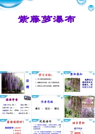 七年级语文上册(紫藤萝瀑布)课件 人教新课标版 课件