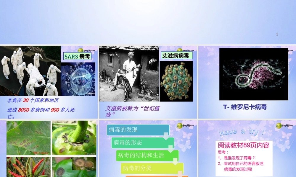 八年级生物上册 病毒课件 (新版)新人教版 课件