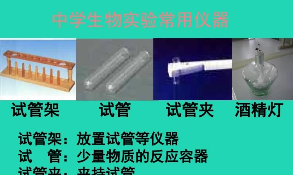 中学生物实验常用仪器素材 (新版)苏科版 素材
