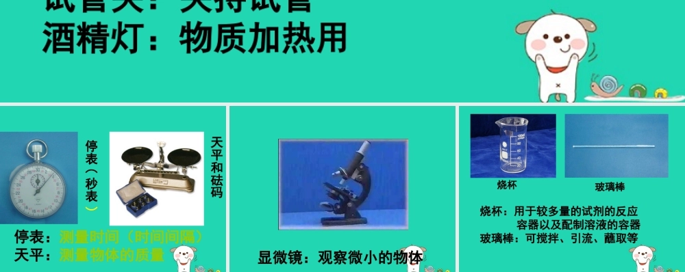 中学生物实验常用仪器素材 (新版)苏科版 素材