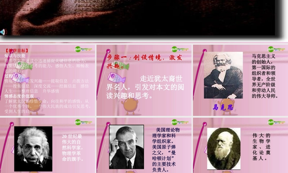 九年级语文下册 (生命与和平相爱)优秀实用课件 苏教版 课件