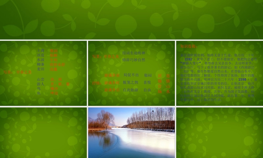 八年级语文下册 29 满井游记课件 新人教版 课件