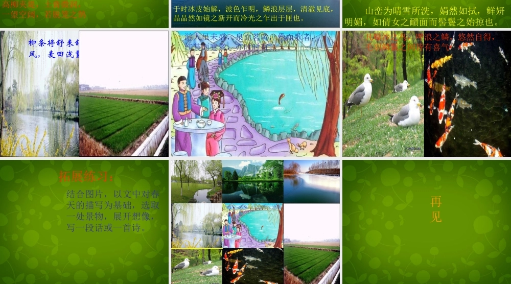 八年级语文下册 29 满井游记课件 新人教版 课件