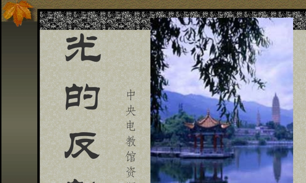 八年级物理新人教版光反射 课件