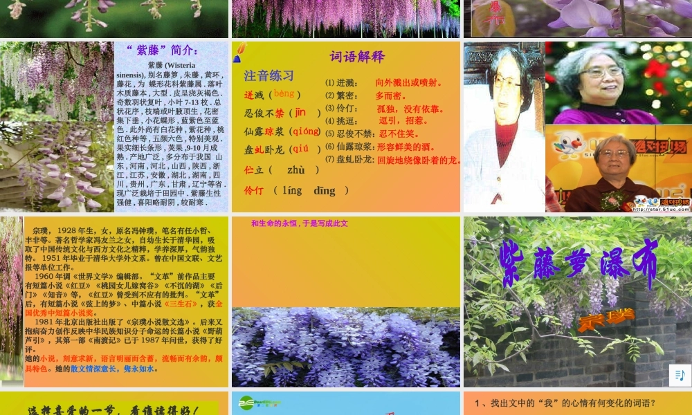 七年级语文上册 (紫藤萝瀑布)课件 人教新课标版 课件