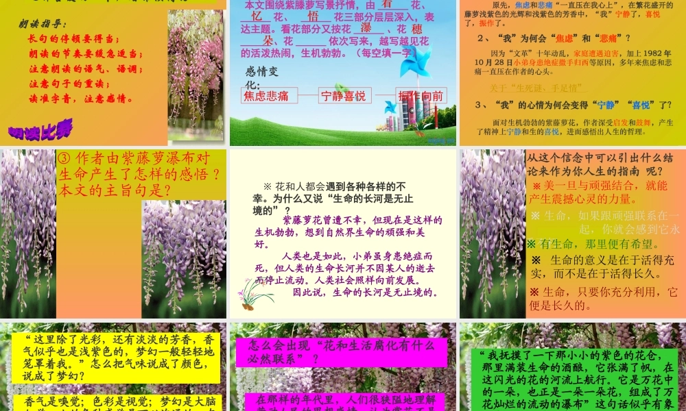 七年级语文上册 (紫藤萝瀑布)课件 人教新课标版 课件