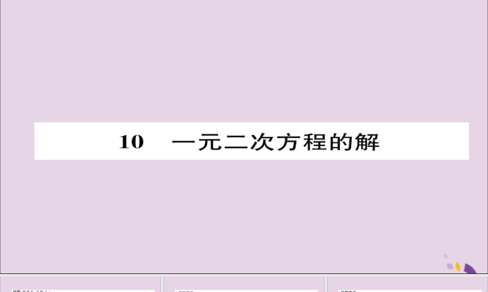 九年级数学上册 第二章 一元二次方程 一元二次方程的解(练习手册)课件 (新版)北师大版 课件