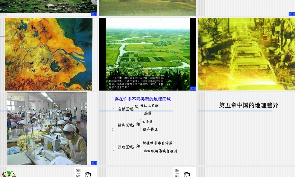 八年级地理下册：第五章第一节：四大地理区域划分(课件)人教版新课标 课件