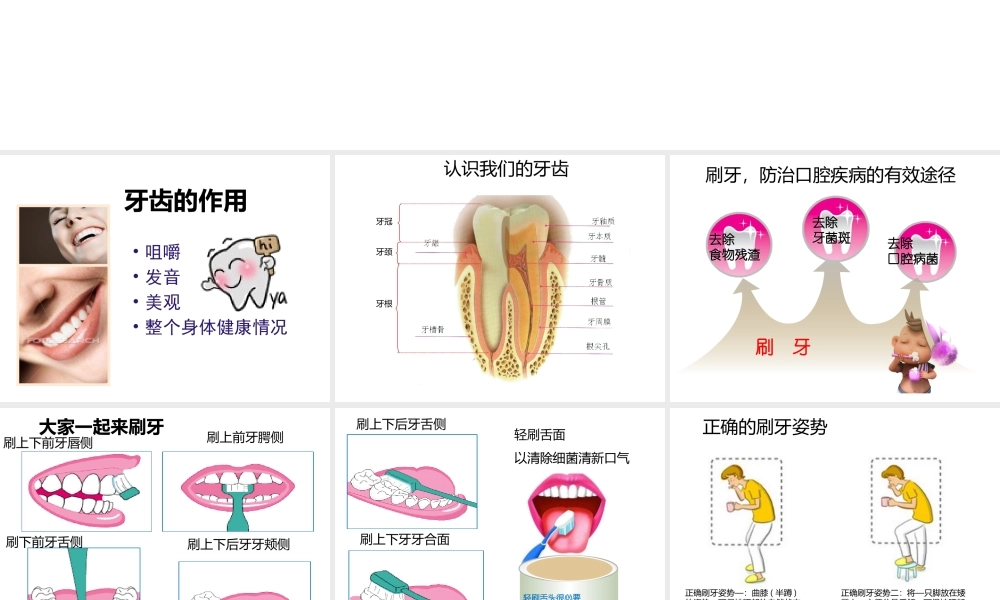 全国爱牙日-幼儿园课件