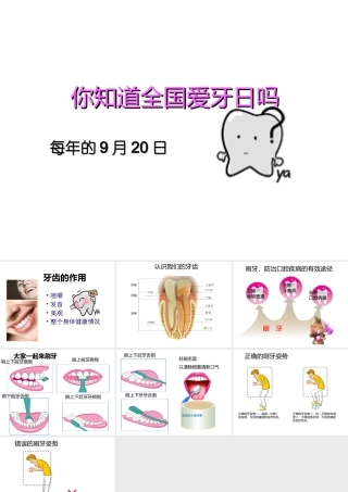 全国爱牙日-幼儿园课件