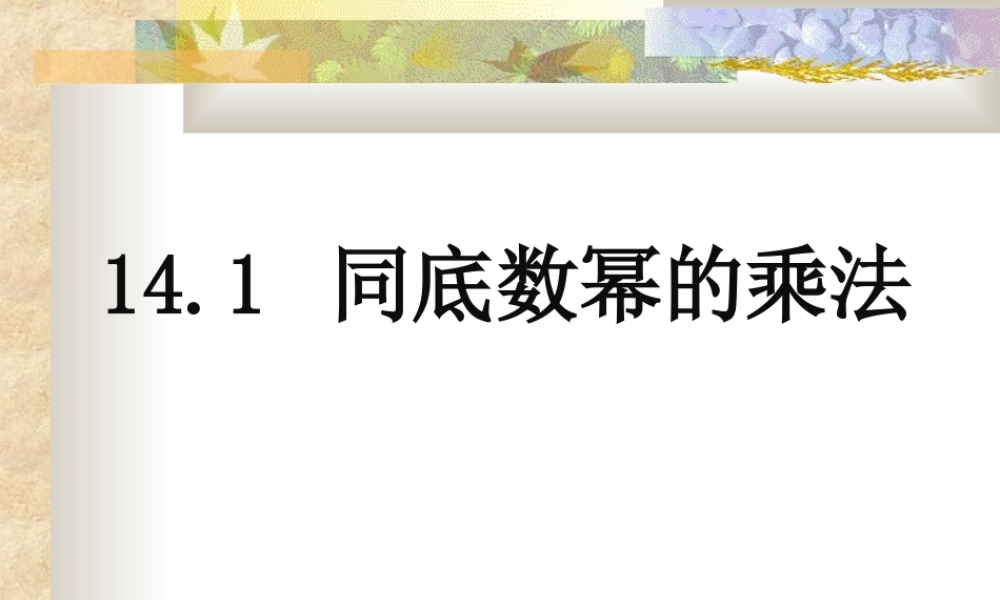 八年级数学同底数幂的乘法课件3华师版 课件